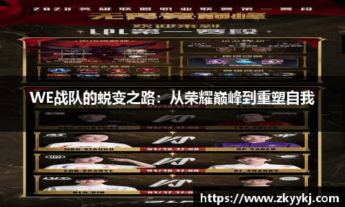 龙8官网